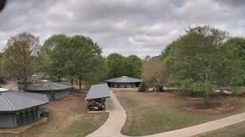 Weather camera view of Camp Twin Lakes - Will-a-Way.