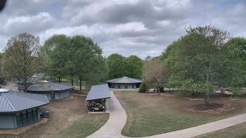 Weather camera view of Camp Twin Lakes - Will-a-Way.