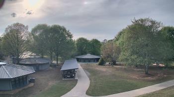 Weather camera view of Camp Twin Lakes - Will-a-Way.