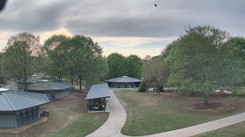 Weather camera view of Camp Twin Lakes - Will-a-Way.