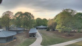 Weather camera view of Camp Twin Lakes - Will-a-Way.