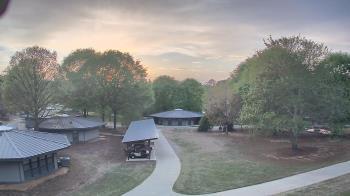 Weather camera view of Camp Twin Lakes - Will-a-Way.