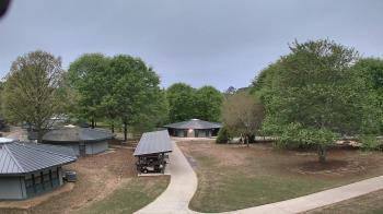 Weather camera view of Camp Twin Lakes - Will-a-Way.