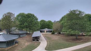 Weather camera view of Camp Twin Lakes - Will-a-Way.