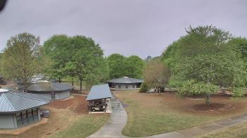 Weather camera view of Camp Twin Lakes - Will-a-Way.