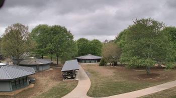 Weather camera view of Camp Twin Lakes - Will-a-Way.