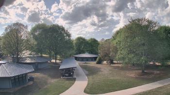 Weather camera view of Camp Twin Lakes - Will-a-Way.