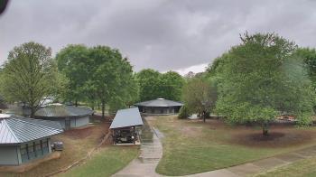 Weather camera view of Camp Twin Lakes - Will-a-Way.