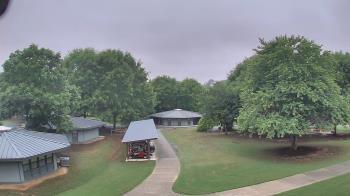 Weather camera view of Camp Twin Lakes - Will-a-Way.