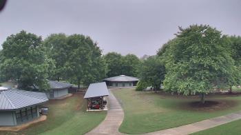 Weather camera view of Camp Twin Lakes - Will-a-Way.