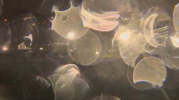 Weather camera view of Trinity MS.