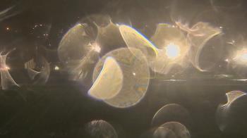 Weather camera view of Trinity MS.