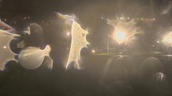 Weather camera view of Trinity MS.