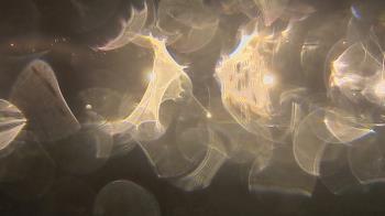 Weather camera view of Trinity MS.