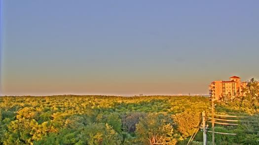 Weather camera view of WTSP-TV.