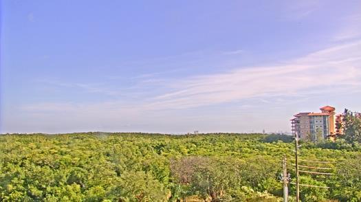 Weather camera view of WTSP-TV.