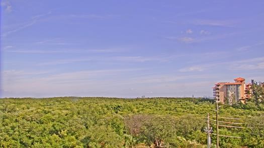 Weather camera view of WTSP-TV.