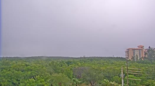 Weather camera view of WTSP-TV.