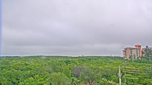 Weather camera view of WTSP-TV.