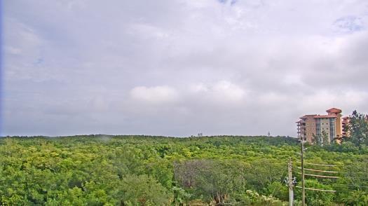 Weather camera view of WTSP-TV.