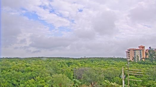 Weather camera view of WTSP-TV.