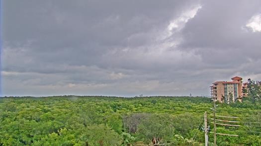 Weather camera view of WTSP-TV.