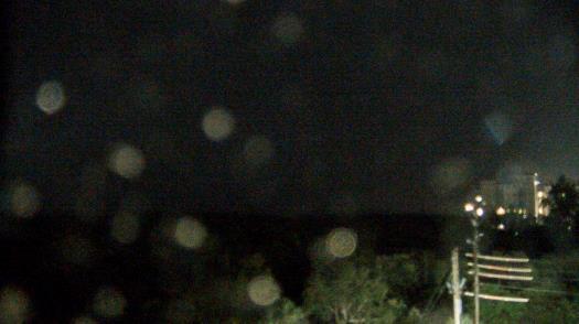 Weather camera view of WTSP-TV.