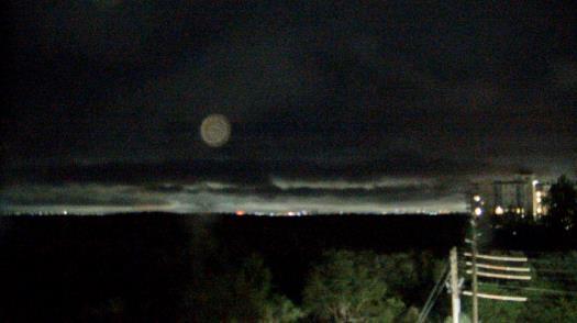 Weather camera view of WTSP-TV.