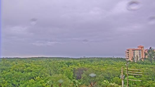 Weather camera view of WTSP-TV.