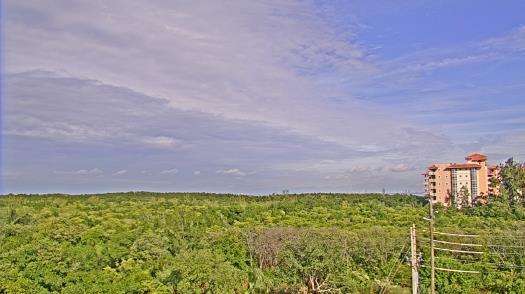 Weather camera view of WTSP-TV.