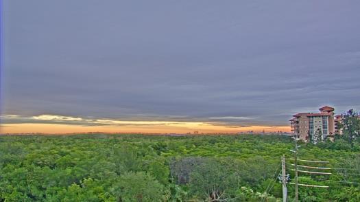 Weather camera view of WTSP-TV.