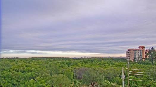 Weather camera view of WTSP-TV.