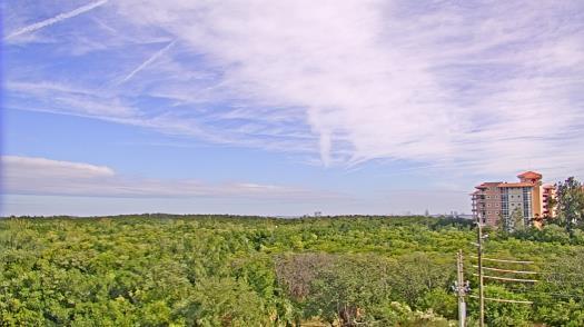 Weather camera view of WTSP-TV.