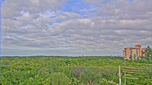 Weather camera view of WTSP-TV.