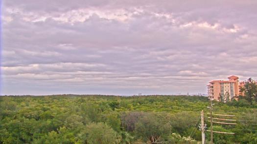 Weather camera view of WTSP-TV.