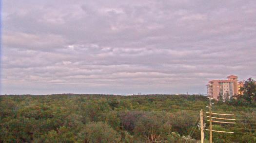 Weather camera view of WTSP-TV.