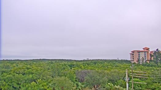 Weather camera view of WTSP-TV.