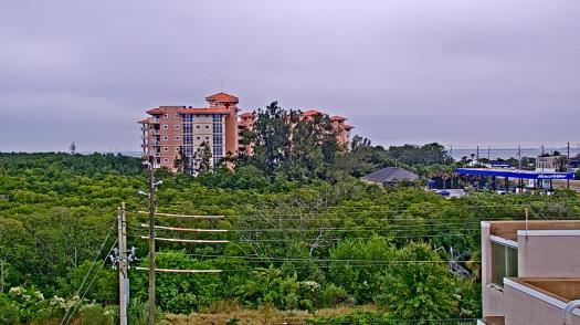 Weather camera view of WTSP-TV.