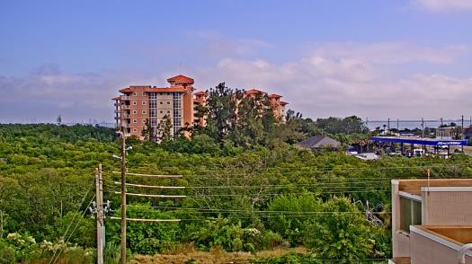 Weather camera view of WTSP-TV.