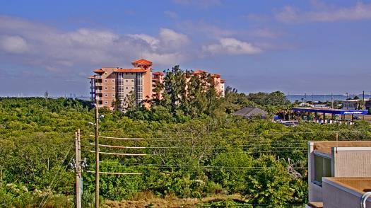 Weather camera view of WTSP-TV.