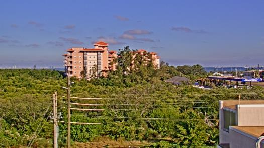 Weather camera view of WTSP-TV.