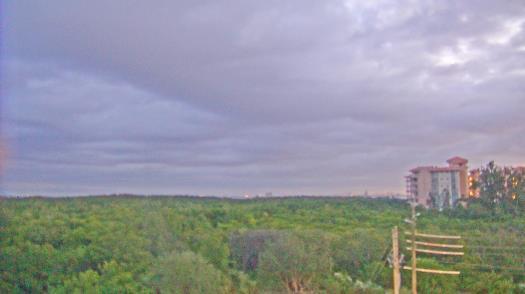 Weather camera view of WTSP-TV.