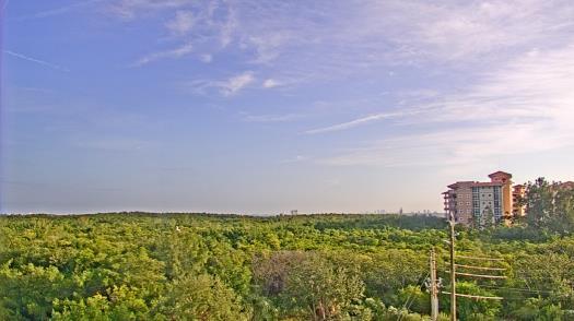 Weather camera view of WTSP-TV.