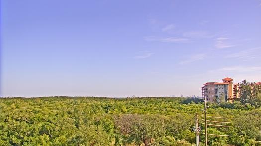 Weather camera view of WTSP-TV.