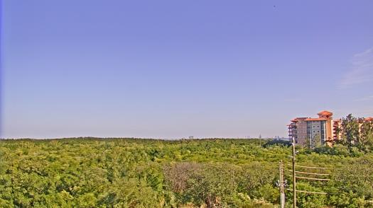 Weather camera view of WTSP-TV.