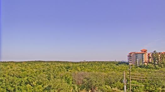 Weather camera view of WTSP-TV.