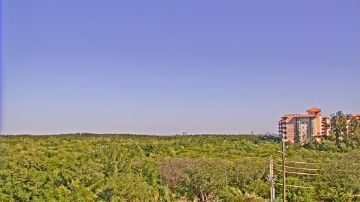 Weather camera view of WTSP-TV.