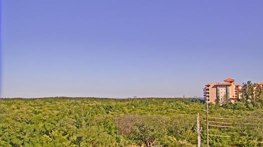 Weather camera view of WTSP-TV.