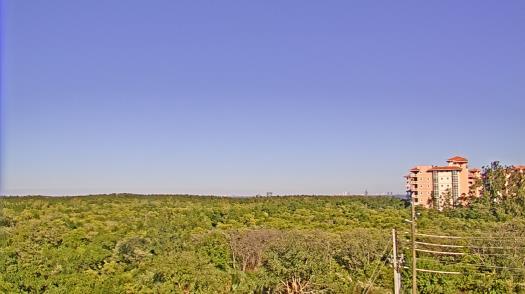 Weather camera view of WTSP-TV.