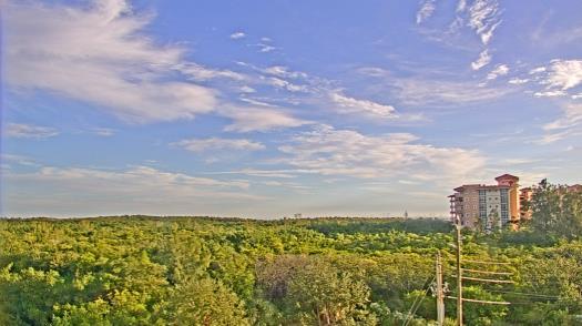 Weather camera view of WTSP-TV.